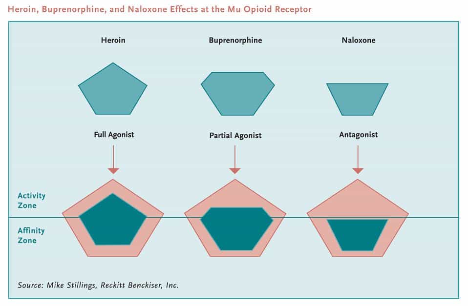 Image from drugabuse.gov sublocade for opioid addiction